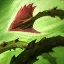 Zyra's E: Grasping Roots
