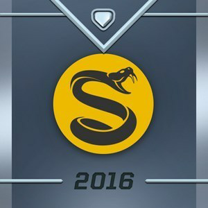 Summoner profile icon