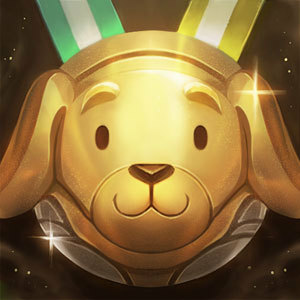 Summoner profile icon