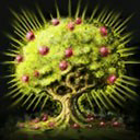 Summoner profile icon