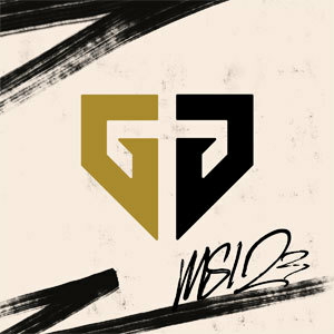 Summoner profile icon