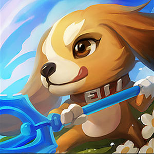 Summoner profile icon